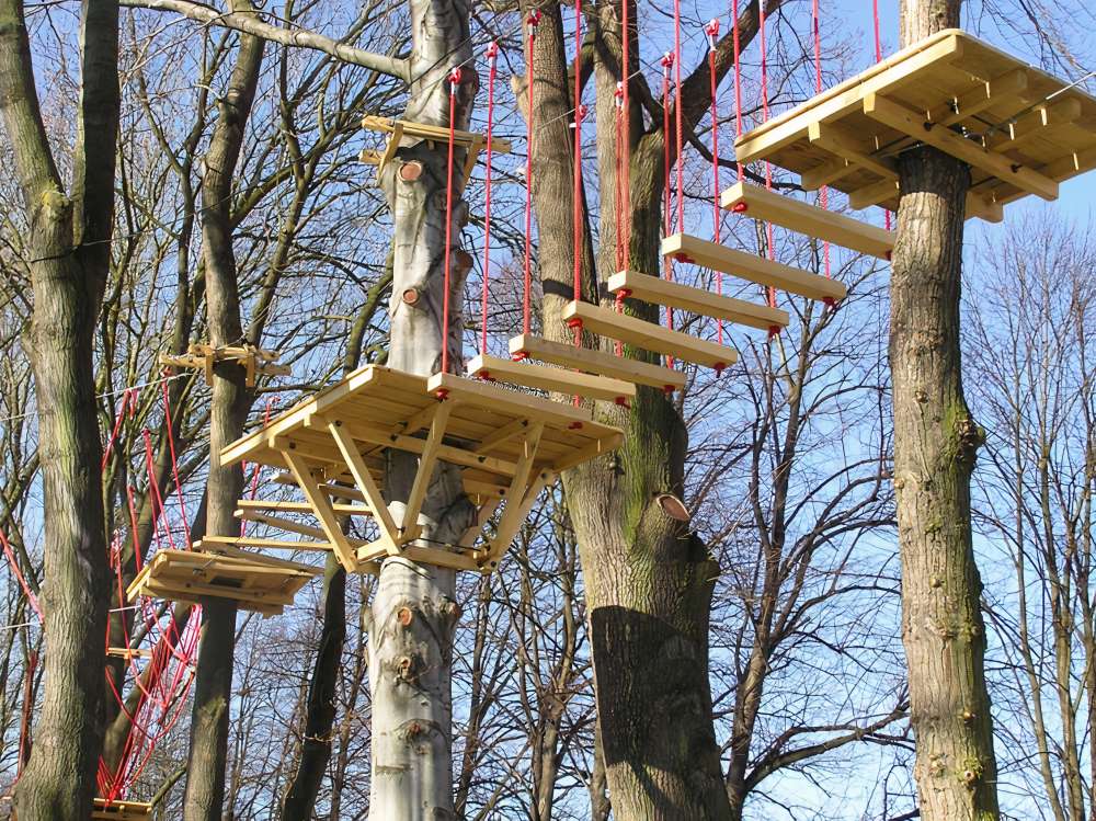  Ukázka realizace: arboristika, projekt Instalace dřevěných talanů