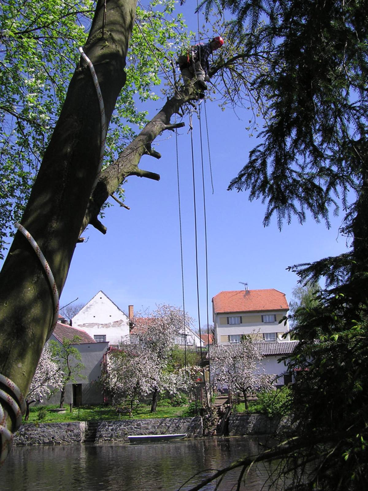 Kácení stromů nad řekou