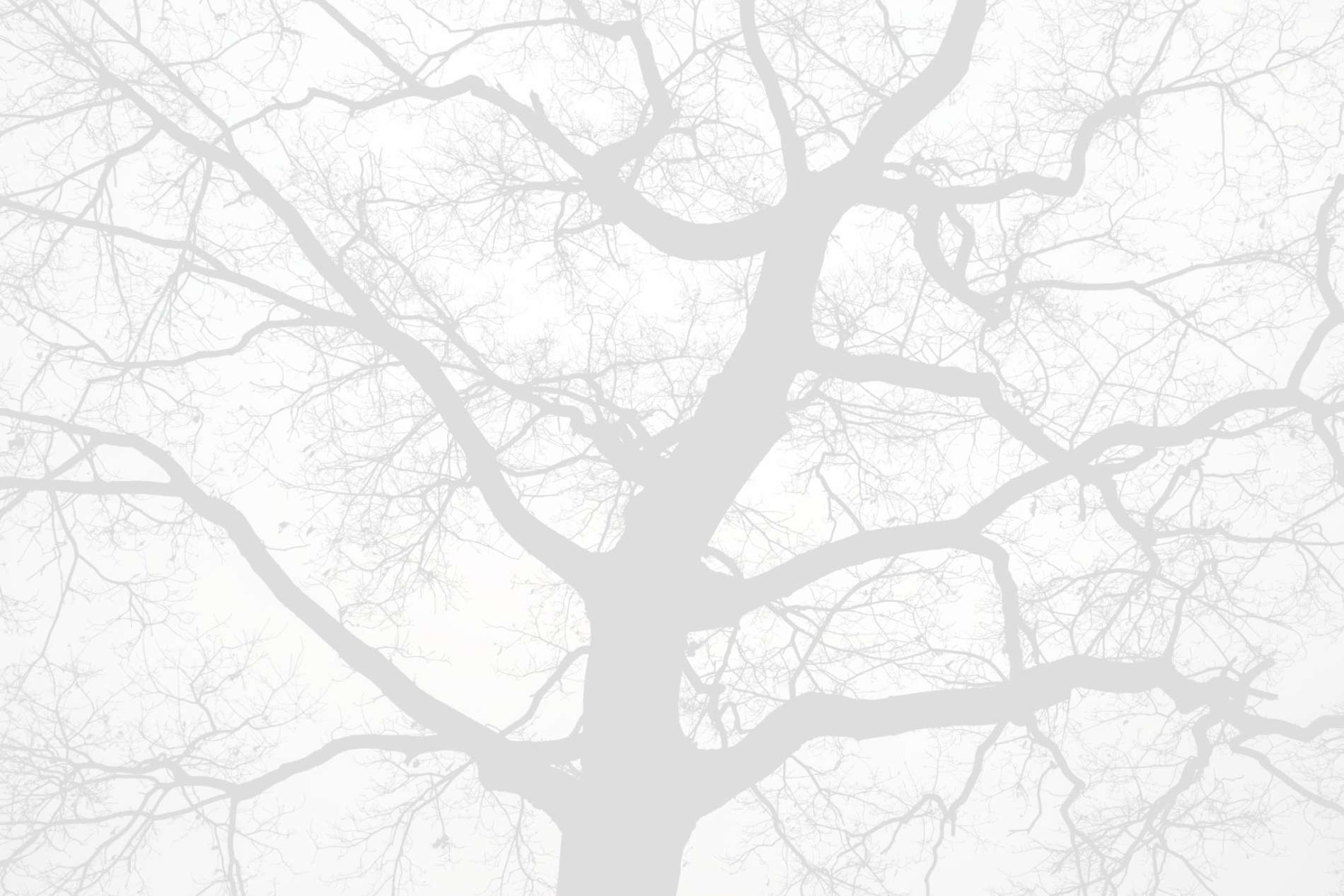 Dekorativní pozadí