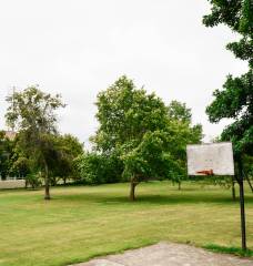 Veřejná zeleň