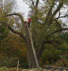 Seznam vybraných arboristických zakázek v letech 2020-2023