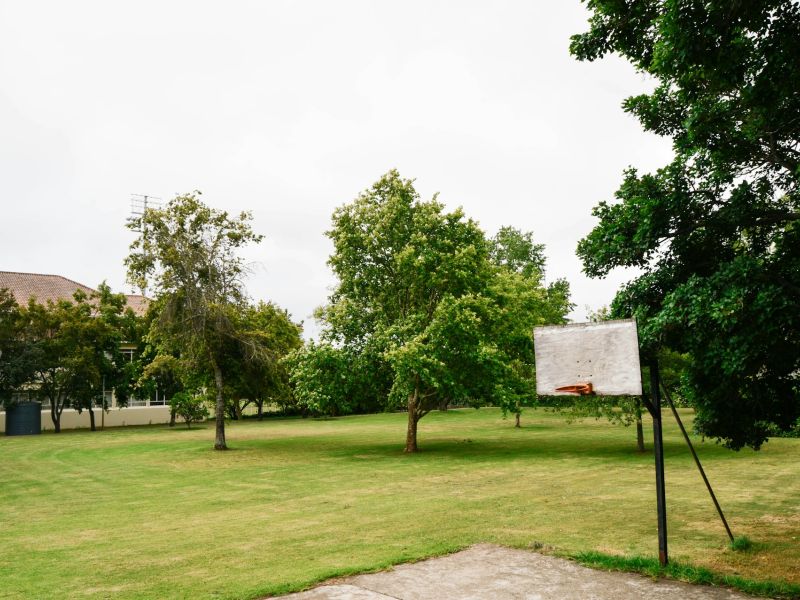Veřejná zeleň