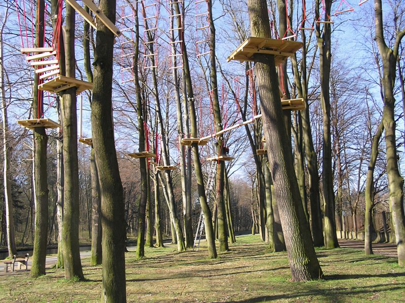Vybrané reference