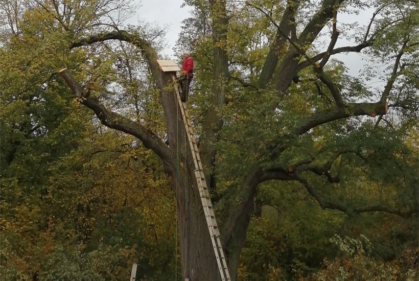 Seznam vybraných arboristických zakázek v letech 2020-2023