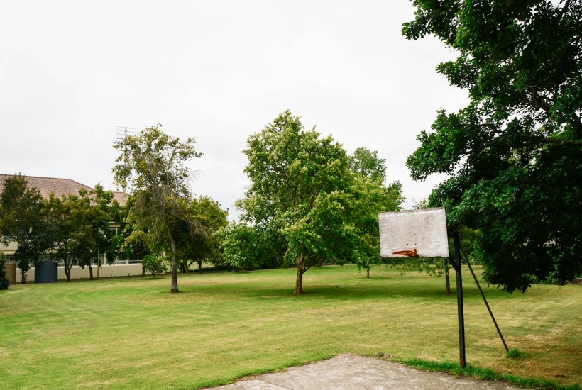 Veřejná zeleň