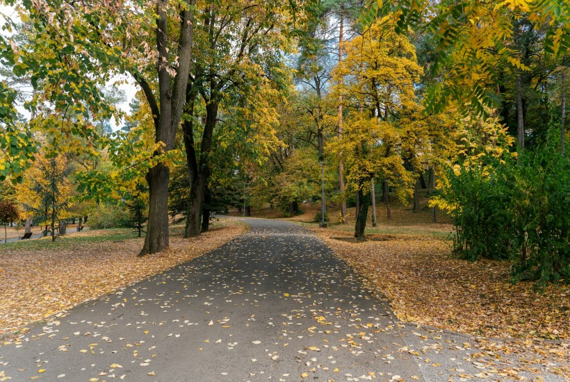 Veřejná zeleň